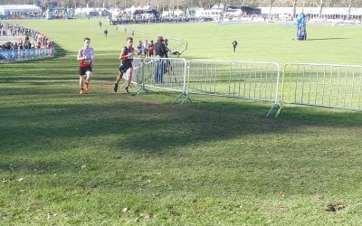 Zondag 24 februari 2019 BK Veldlopen en Crosscup in Brussel